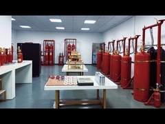 Company daily videos